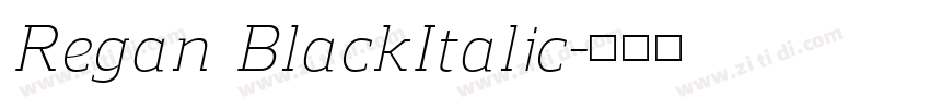 Regan BlackItalic字体转换